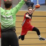 Handball Männer 1. Liga / Handball Wohlen - STV Willisau
